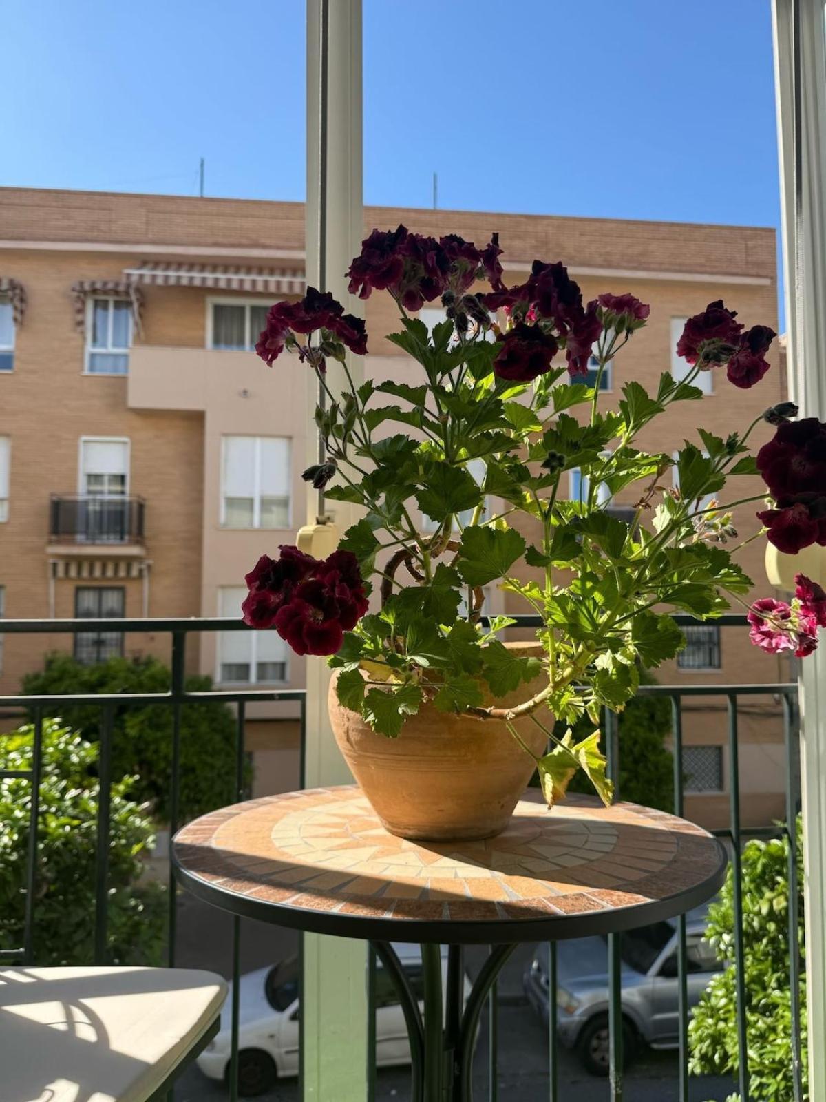 El Balcon De La Luz